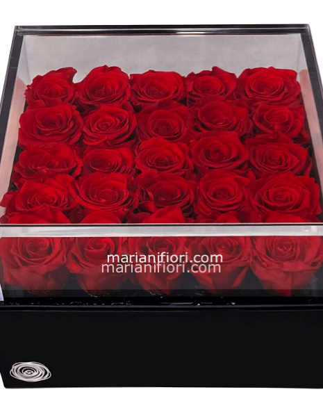 25 Rose Stabilizzate 