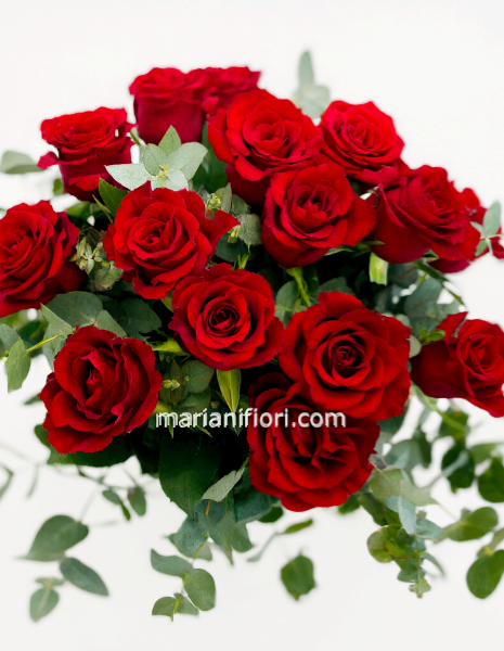 Bouquet 12 rose rosse gambo corto 50 cm di lunghezza