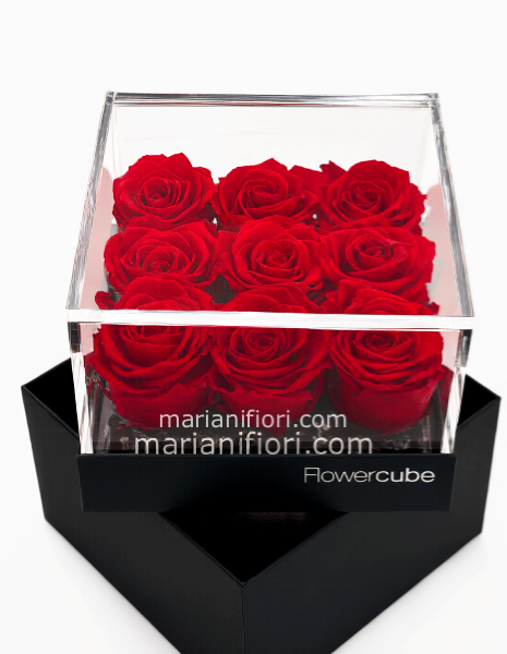 9 ROSE STABILIZZATO IN COFANETTO PLATINUM 