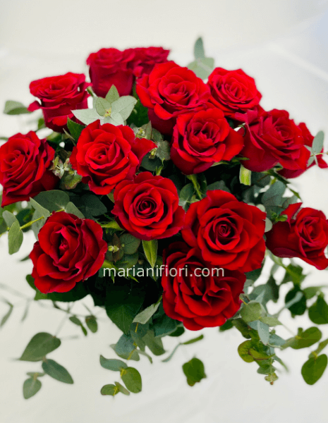 Bouquet di 12 rose rosse gambo corto e verdi decorativi