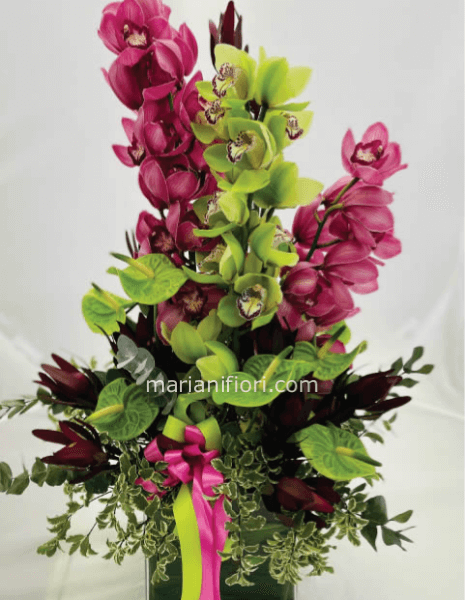 Composizione di orchide e anturium in vaso