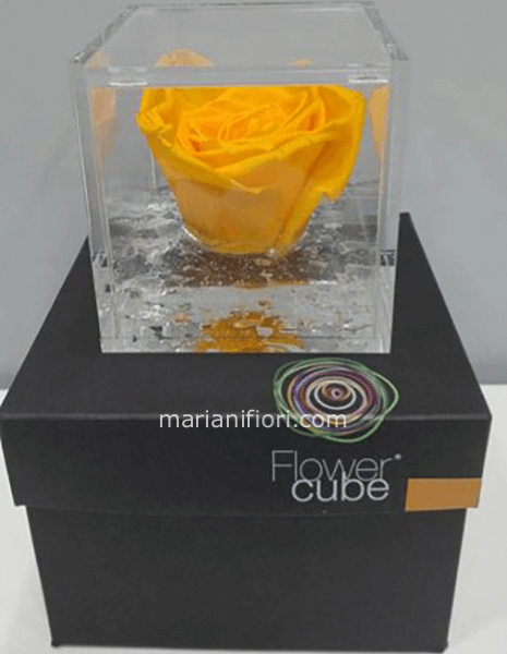 Flowercube Arancione