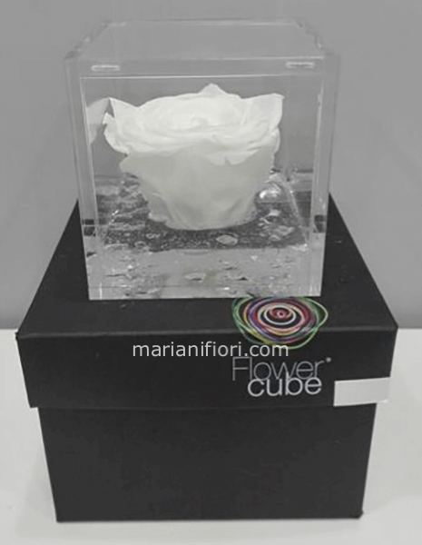 Flowercube Bianco