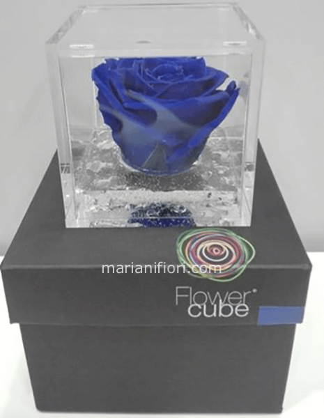 Flowercube Blu