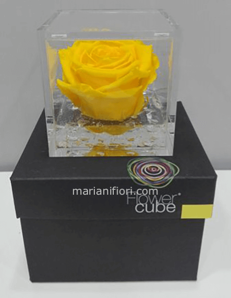 Flowercube Giallo