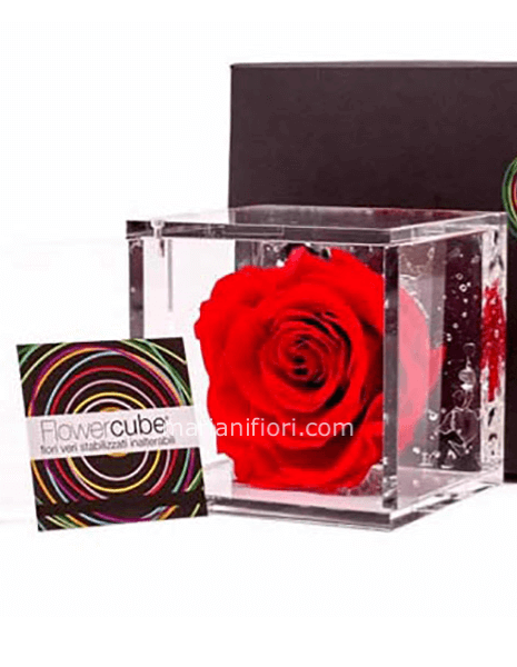 Flowercube Rosso