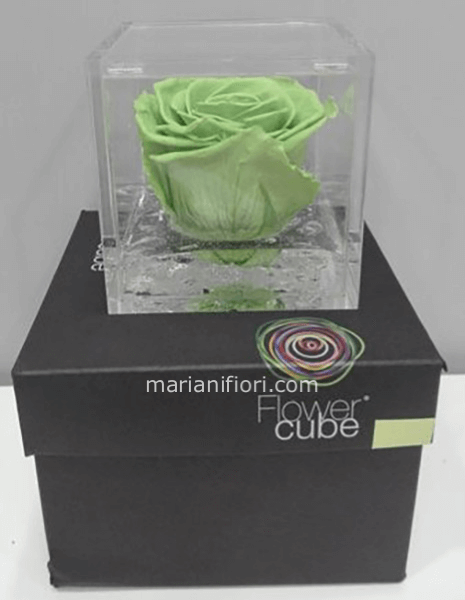 Flowercube Verde