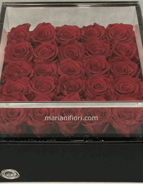 25 Rose Stabilizzate 