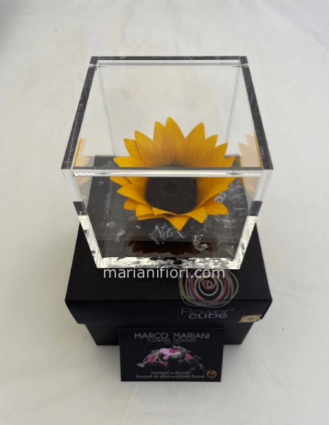 Girasole stabilizzato 10x10 » Mariani Fiori, Consegna a domicilio fiori  Roma