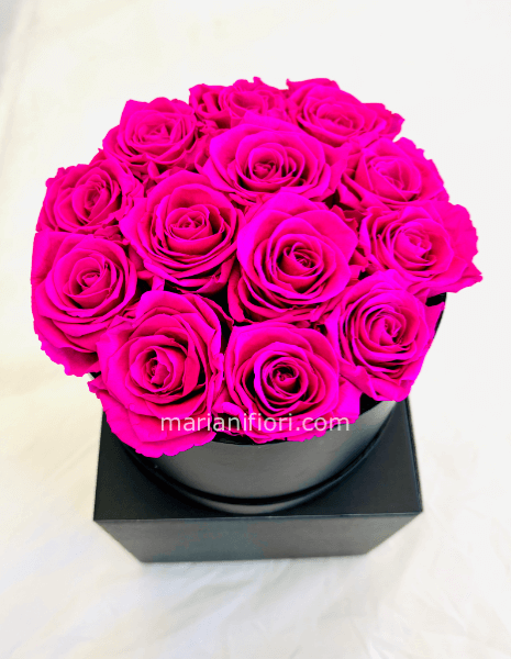 BOX DI 12 ROSE PINK STABILIZZATE