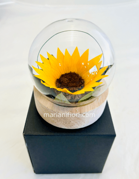 SFERA DI VETRO CON GIRASOLE STABILIZZATO