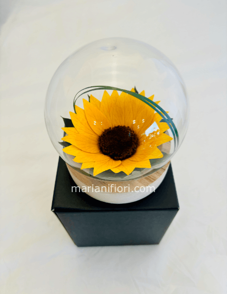 SFERA DI VETRO CON GIRASOLE STABILIZZATO 13cm