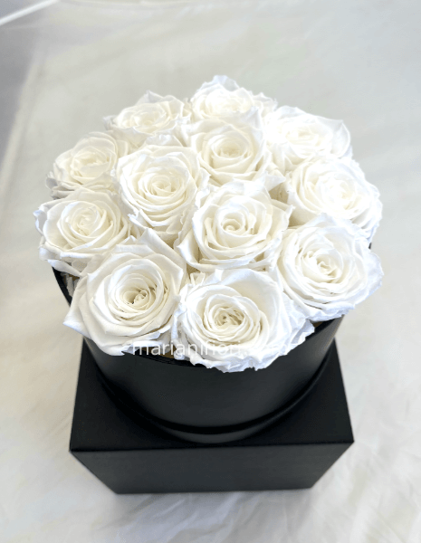 BOX DI 12 ROSE BIANCHE STABILIZZATE .
