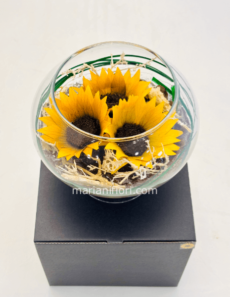 Coppa di girasoli stabilizzati