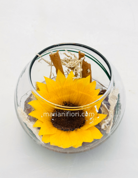 Girasole Stabilizzato in vetro D16cm