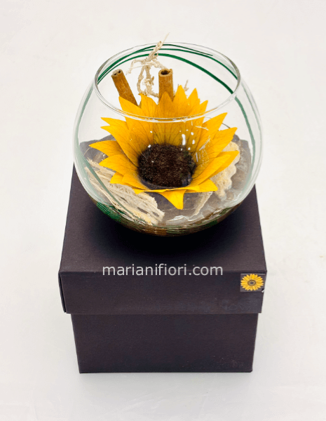 Girasole stabilizzato in vetro d12cm
