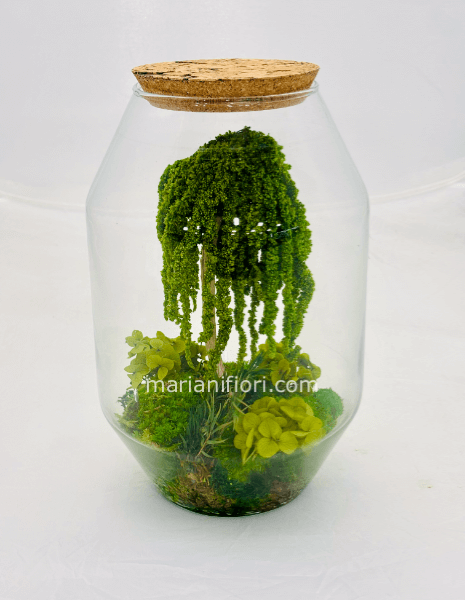 TERRARIUM BONSAI STABILIZZATO VASO VETRO H 30 D 20