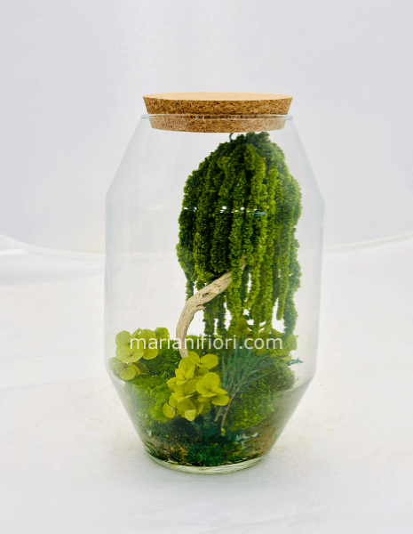 TERRARIUM BONSAI STABILIZZATO VASO VETRO H 24 D 15