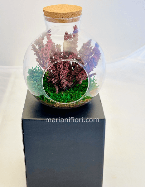 TERRARIUM LAVANDA STABILIZZATO
