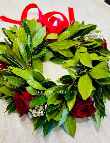 Coroncina laurea 2