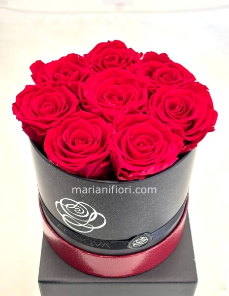 BOX DI 8 ROSE STABILIZZATE CAPPELLIERA ROSSA E NERA