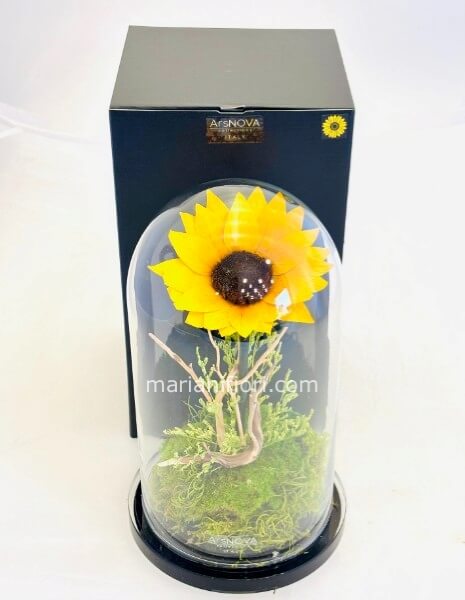 Girsasole Stabilizzato e vegetazione formato grande