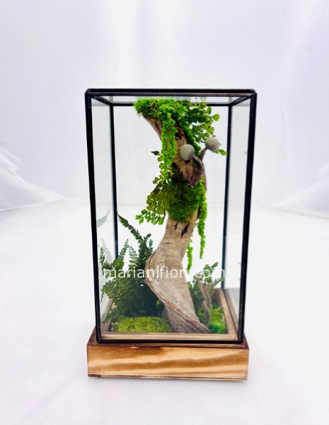 THECA CON PAESAGGIO VEGETALE STABILIZZATO  13X13 H 23