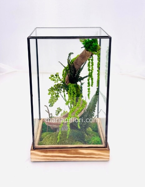 THECA CON PAESAGGIO VEGETALE STABILIZZATO  18X18 H 22