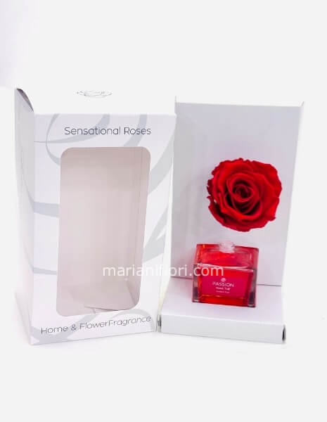 PROFUMATORE E ROSA STABILIZZATA ROSSA ESSENZA ROSATAIF
