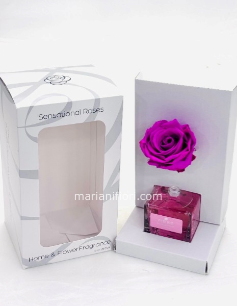 PROFUMATORE E ROSA STABILIZZATA PINK ESSENZA BOUQUET FIORITO 