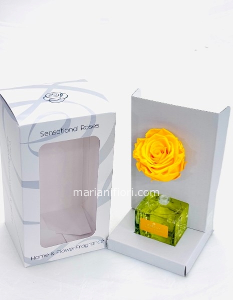 PROFUMATORE E ROSA STABILIZZATA GIALLA