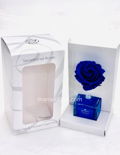 PROFUMATORE E ROSA STABILIZZATA BLU