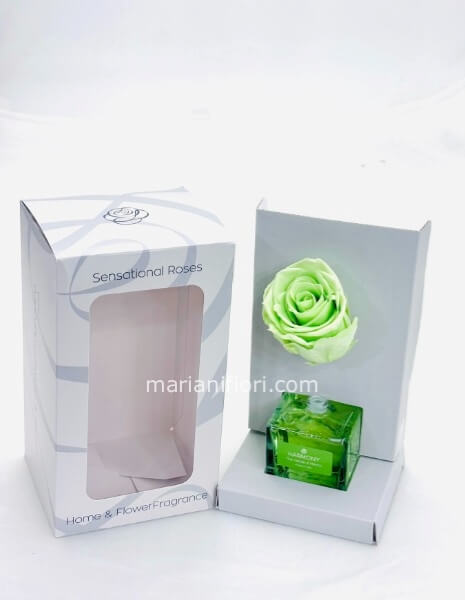 PROFUMATORE E ROSA STABILIZZATA VERDE ESSENZA THE VERDE E MENTA