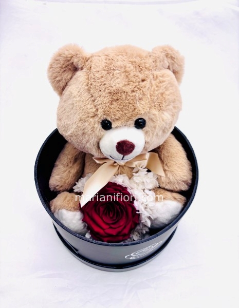 ORSO TRUDI GRADE E ROSA STABILIZZATA