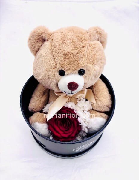 ORSO GrandeTRUDI GRADE E ROSA STABILIZZATA