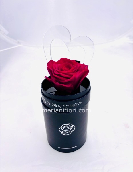 CUORE DI ROSA STABILIZZATA